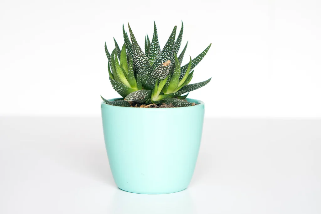 Corporate Network Infrastructure